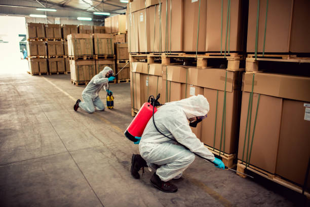Best Wasp Removal Services  in Wilkes Barre, PA