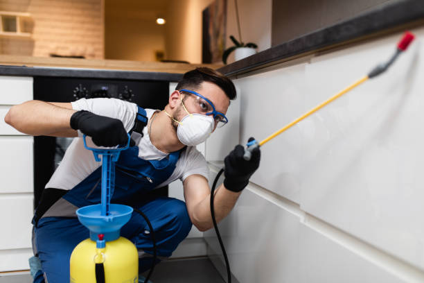 Best Best Pest Control Companies  in Wilkes Barre, PA