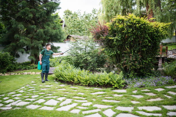 Wasp Removal Services in Wilkes Barre, PA