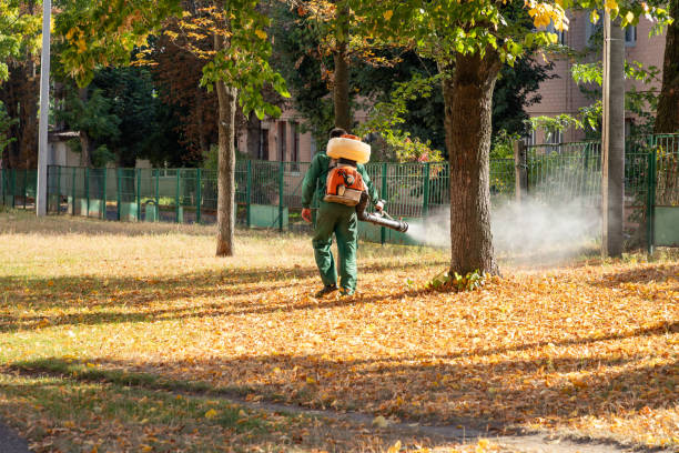 Best Flea Control Services  in Wilkes Barre, PA
