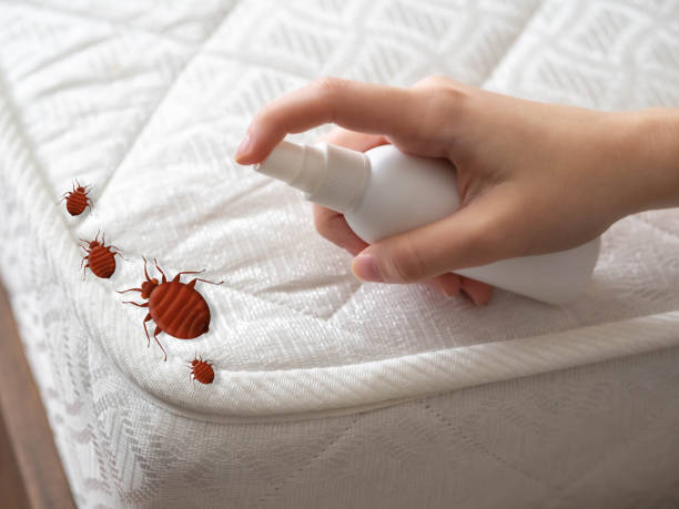 Best Pest Control Near Me in Wilkes Barre, PA
