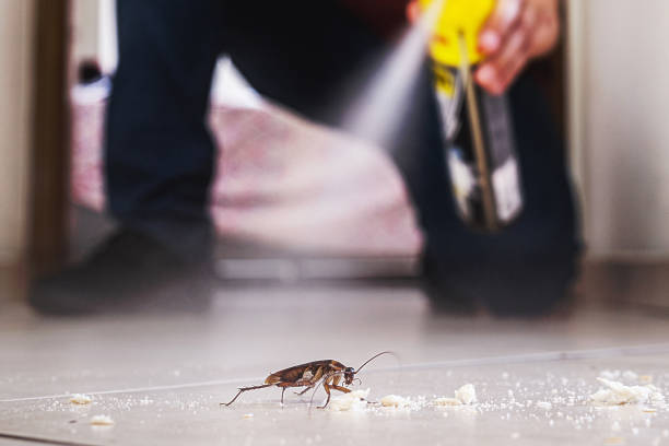 Best Affordable Pest Control Services  in Wilkes Barre, PA