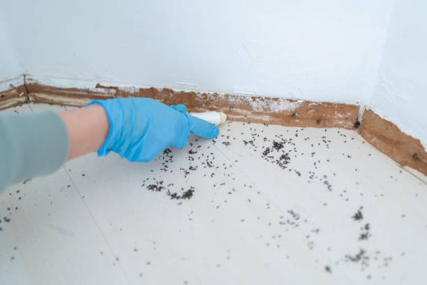 Best Pest Prevention Services  in Wilkes Barre, PA