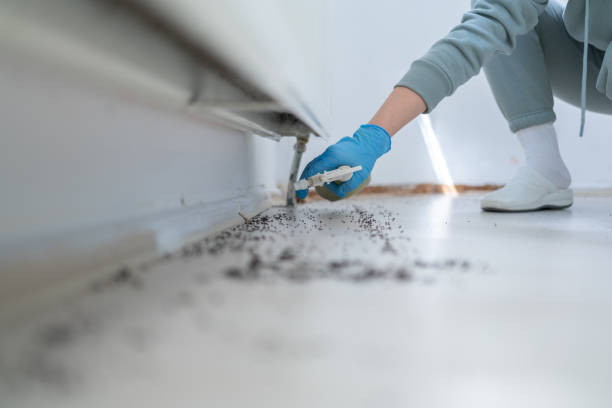 Best Bed Bug Extermination  in Wilkes Barre, PA